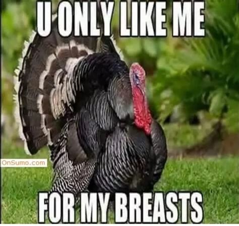 naughty thanksgiving memes|50 Funny Thanksgiving Memes for a Happy Turkey Day.